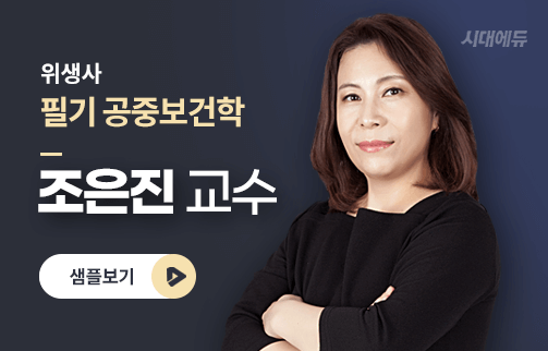 플레이버튼